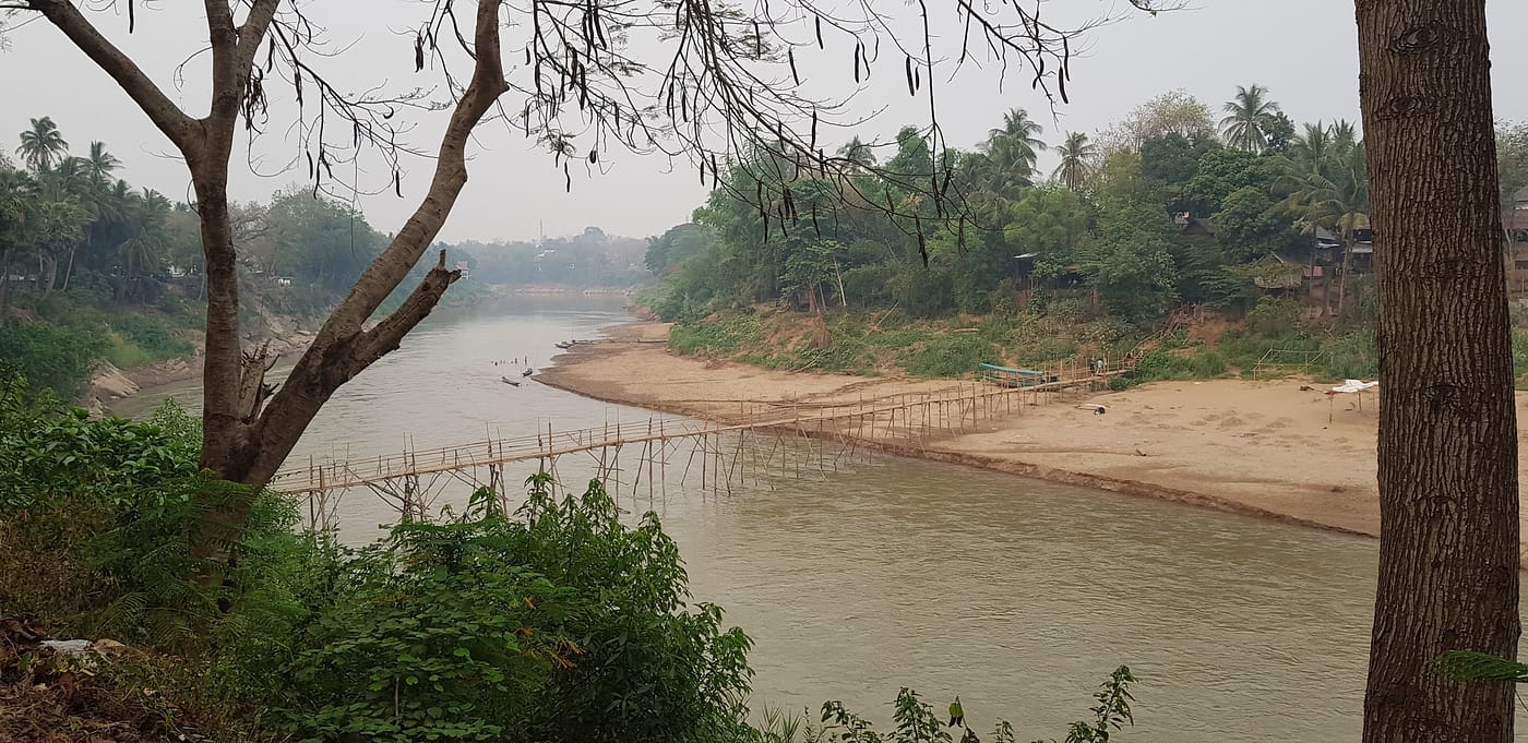 Bamboo bridge