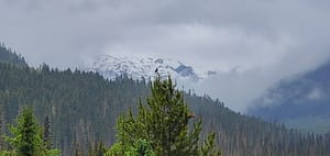 20200707_142438