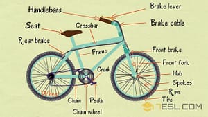Parts Of The Bike | Bicycle Components For Beginners