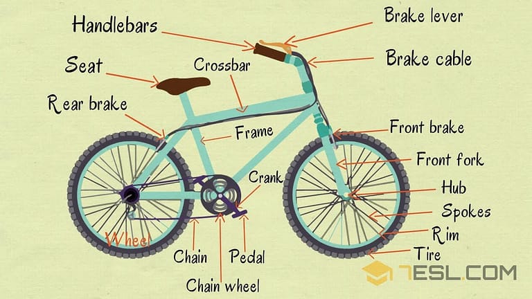 Read more about the article Parts Of The Bike | Bicycle Components For Beginners