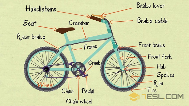 Read more about the article Parts Of The Bike | Bicycle Components For Beginners